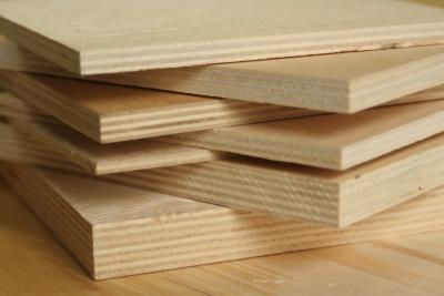 Birch plywood FK 1525x1525